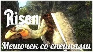 Risen-1  серия 27 "Мешочек со специями"     (OldGamer) 16+