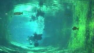 Ural Cave Diving Team: Oct-08 at Ginnie