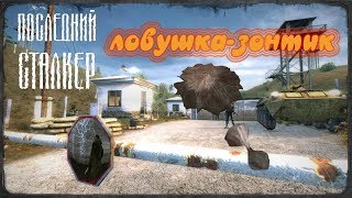 Используем ловушку-зонтик на болотах