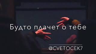 Cvetocek_7
