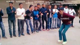 ayıTEAM LONCA ŞARKISI (PİYASA DİSS)