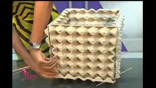 DIY: Canasto hecho con cartón de huevo y consejos para hacer ensaladaTipsTV 3-1-15 Parte 5