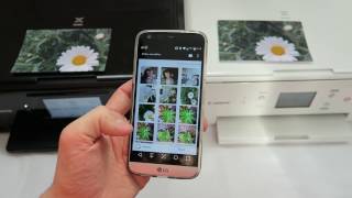 Canon PIXMA - Vergleich TS8050 und TS6051
