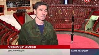 2013-02-25-Медведи-канатоходцы