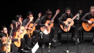 Orquesta Juvenil de Guitarras de Cali.  Julio 2015