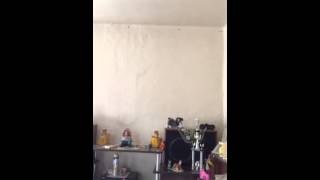 projector atco ct03h2 new problem! help me! 2
