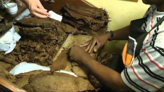 Cuba Cigar Factory