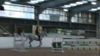 Ben Maher Schooling the inexperienced Showjumper