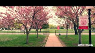 NFA cherry blossoms @NFASchool