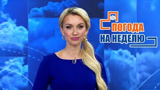 Дожди и туманы! Погода на неделю | Прогноз погоды с 24 по 30 октября 2022 | Плюс-минус