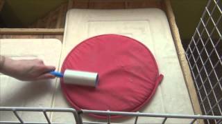 How I Clean My Rabbit's Cage