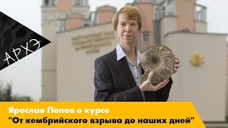 Ярослав Попов| Курс «От кембрийского взрыва до наших дней»