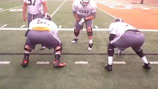 Inside Zone Presentation and Cut Ups