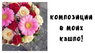 БУДНИ ФЛОРИСТА!.Композиции в моих кашпо\Показываю витрину.