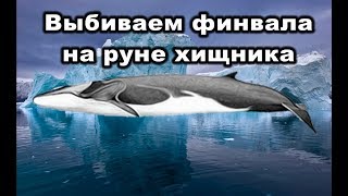РР3. Выбиваем финвала на руне хищника или как быстро спустить игровые. Что выпадает на руне хищника?