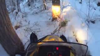 BRP 550f SWT - прорыв через лес, дорога домой