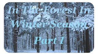 Relaxing nature scenes & chinese instrumental music - In The Forest In Winter Season [Part I]