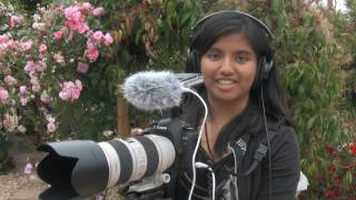 Ultimate sound recording in Canon 5D / 7D and Sony PCM-D50