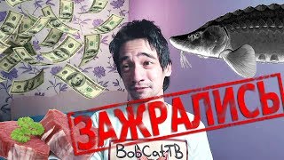 BOBCAT ТВ зажрался!!! Дизлайк/Атписка! В Африке дети голодают!