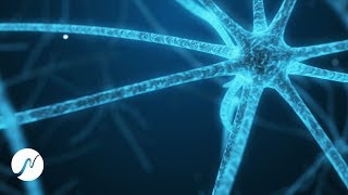 Intelligenzsteigerung & Deep Focus (intensiv!) - Frequenzen Beta Wellen (22 Hz)
