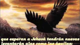 LUCHARE... Gishela Geise