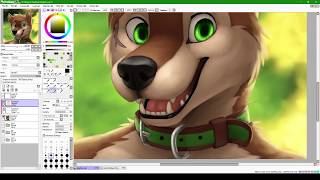 Dogface Timelapse