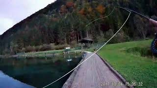 Fliegenfischen auf Sicht am Forellensee