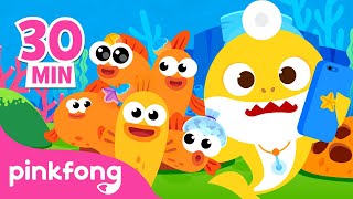 Mix - Cinco Pececitos Saltando en el Alga | Canta con Tiburón Bebé | Pinkfong Canciones Infantiles