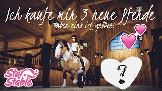 Ich kaufe mir 3 neue Pferde...aber eins ist größer! ??| StarStable | HD