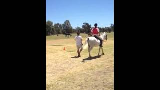 Braveet gosnells summer