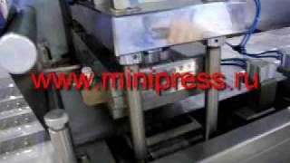 Роторный таблеточный пресс из Китая на www.minipress.ru