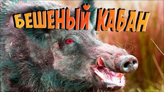 БЕШЕНЫЙ КАБАН ПОЧТИ ОТЖАЛ ДОМ - LAST DAY RULES: SURVIVAL (МОБИЛЬНЫЙ RUST)