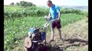 Мотоблок Нева мб1. копка картофеля. Neva mb1. Potato digging.
