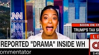 Hilarious: CNN Commentator Laughs At Omarosa Being Fired From White House