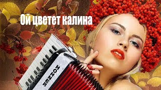 Ой цветет калина на аккордеоне на баяне accordion cover