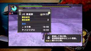 【MHP3】モンハンP3rd イビルジョー 凍土エリア3地形ハメ ソロ【ヘビィ】