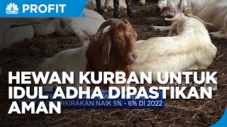 Kementan Pastikan Hewan Kurban Untuk Idul Adha Aman