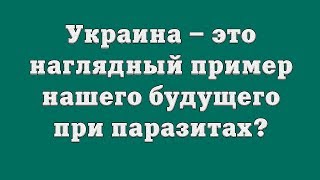 Украина – это наглядный пример нашего будущего при паразитах?