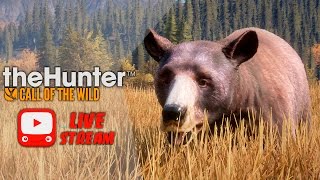 theHunter : Call of the Wild - в поисках БАГов | Патч 1.63 | КОНКУРС (читай описание)