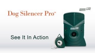 Watch the Dog Silencer Pro™ in Action