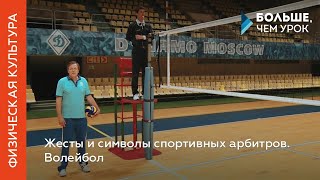 Жесты и символы спортивных арбитров. Волейбол