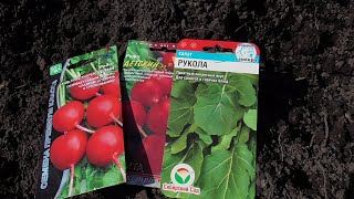 Что я посеяла в открытый грунт сегодня. 