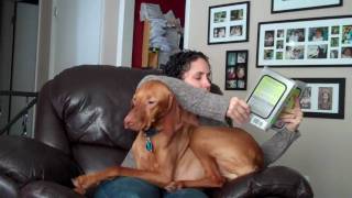 Reading with Nell (or NOT)