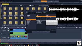 Pinnacle Studio 22 Scorefitter