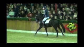 DIARADO von Diamant de Semilly / Corrado I