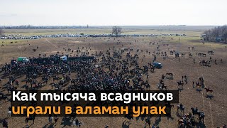 Как тысяча всадников играли в аламан улак под Бишкеком — зрелищное видео