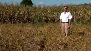 Herbicide Resistant Weeds - University of Missouri