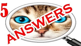 Guess the Pic! 2 ~ Photo Quiz Level 5 - All Answers - Walkthrough