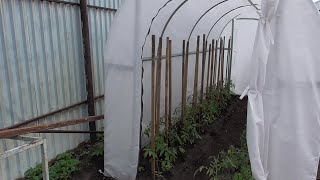 ЧУДО - ТЕПЛИЦА ПРОХОДИТ ПЕРВЫЕ ИСПЫТАНИЯ. 
