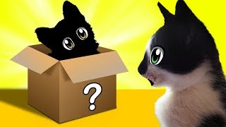 НОВЫЙ ПИТОМЕЦ! КОТ МАЛЫШ И КОШЕЧКА МУРКА ЗНАКОМЯТСЯ С? Дайте ИМЯ милашке! КРОЛИК БАФФИ еще не ВИДЕЛА